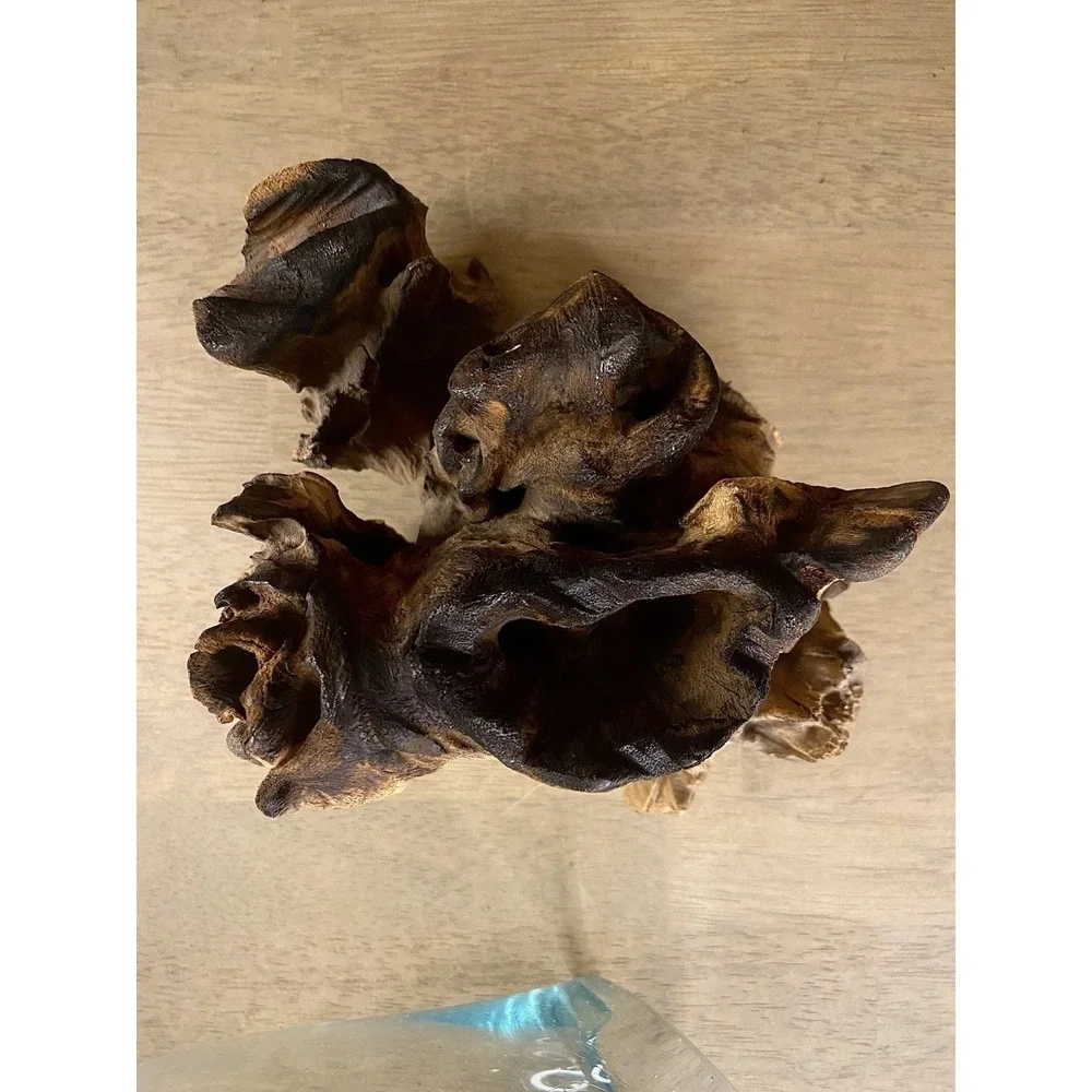Cohasset Molten Terrarium Vase Glass Vase & Natural Wood Sculpture